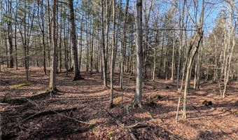 South Road, Addison, NY 14801
