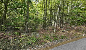 Province Road lot 26, Belmont, NH 03220