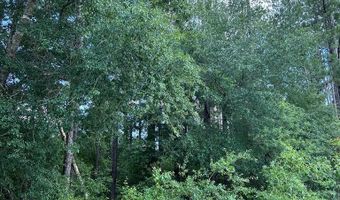 Crestview Dr lot 38, Abbeville, GA 31001