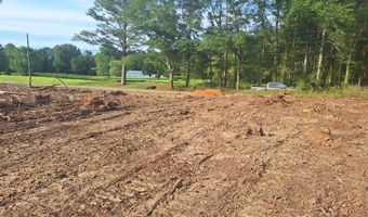 709 Old Pinola Braxton Rd, Braxton, MS 39044