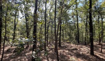 Tract 52 E 1885 Road, Antlers, OK 74523