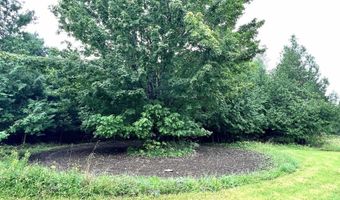 8818 French Rd, Alpena, MI 49707