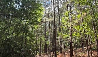 Piney Mountain Rd, Appomattox, VA 24522
