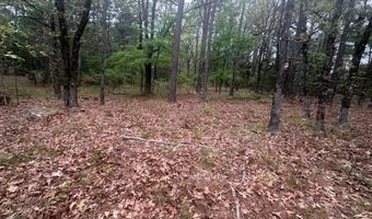 UNIT # 263B KIAMICHI WILDERNESS RD Unit # 63 63, Antlers, OK 74523