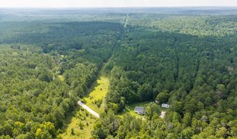 Burks Mountain Road, Appling, GA 30802