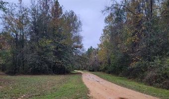 SANDBAR Road lot 90 91 92, Angie, LA 70426