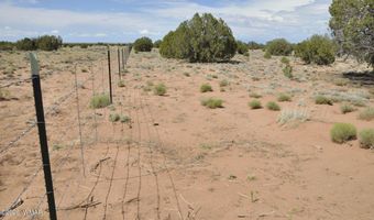 19 C & D County Rd N9033, Concho, AZ 85924