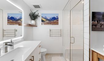 910 W Hallam St 9, Aspen, CO 81611
