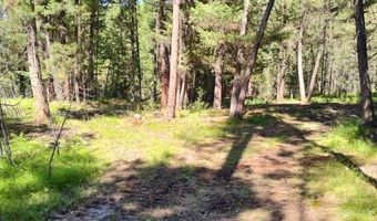 1825 Copper Cliff Dr, Bonner, MT 59823