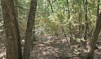 Lot 36 Wildwood Drive, Allegan, MI 49010