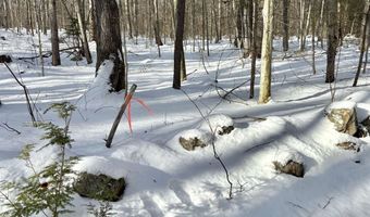 Lot 80-1 Currier Road, Candia, NH 03034