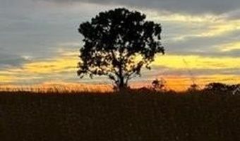 447 CR 215, Abbeville, MS 38601