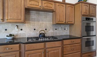 308 San Roma Dr, Dayton, NV 89403