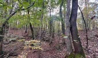 Perry Chapel Road, Ashland, MS 38603