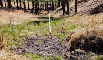 Tbd STONE CREEK RD CR 2117, Alpine, AZ 85920