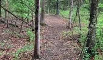 7011 County Road 429, Ava, MO 65608