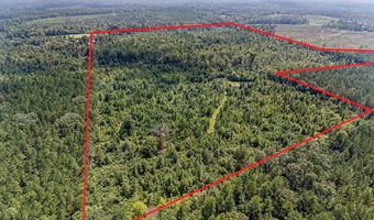 0 McCormick Hwy, Bradley, SC 29819