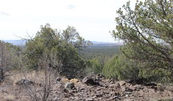 5079 N Pineveta Rd, Ash Fork, AZ 86320