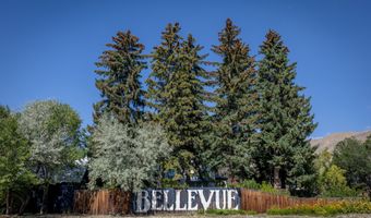 167 Hardwood St, Bellevue, ID 83313