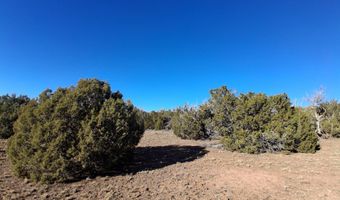 N8715, Concho, AZ 85924