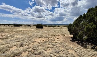 17 COUNTY ROAD N8034 185, Concho, AZ 85924