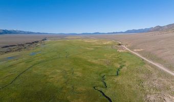 10977 Austin Rd, Austin, NV 89310