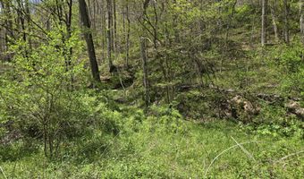 Hale Ridge Road, Beattyville, KY 41311