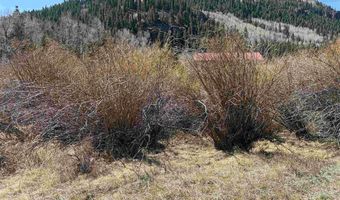 Cottonwood Drive lot 48, Antonito, CO 81120