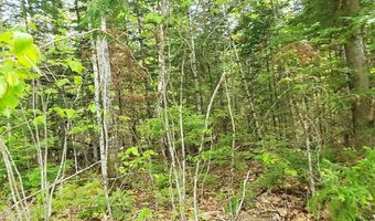 Pleasent Pond Road lot 7, Atkinson, ME 04426