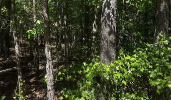 23 Andorra Cir, Hot Springs Village, AR 71909