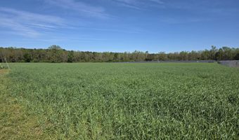 N Nc 111 And 903 Hwy, Albertson, NC 28508