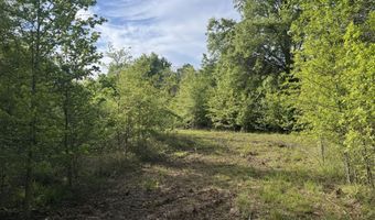 1311 A N Jackson St, Brookhaven, MS 39601