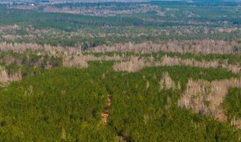 001 Old Stage Rd, Atmore, AL 36502