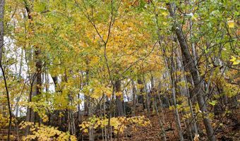 595 Rock Creek Ridge Rd, Bakersville, NC 28705
