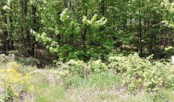 4781 TURKEY TRAIL Lot # 19 Woodland Hts, Amherst, WI 54406