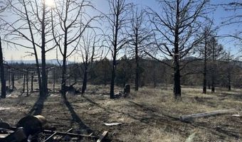 31763 Godowa Springs Rd, Beatty, OR 97621