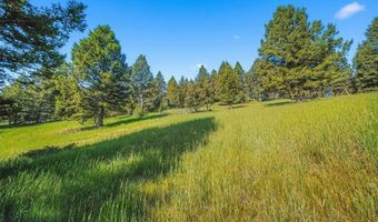 Colters Run 13, Big Sky, MT 59730