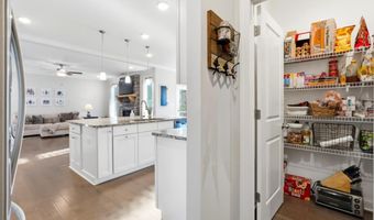 8745 Hightower Rdg, Ball Ground, GA 30107