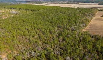 N Bob Brooks Road, Baker, FL 32531