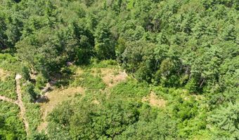 58 Boxwood Dr, Auburn, NH 03032