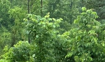 300 Block ANGEL, Amity, AR 71921