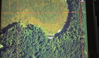 V/L N Concord Road, Albion, MI 49224