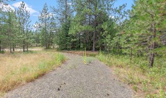 NKA E Forest View Rd, Athol, ID 83801