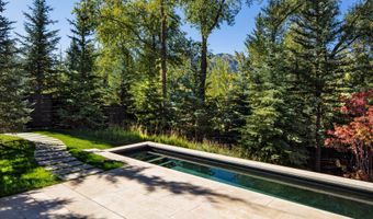 979 Red Mountain Rd, Aspen, CO 81611