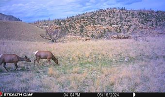 nhn Stagecoach Spur W unit 935-6 935-6, Belfry, MT 59008