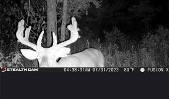 Off Hwy F, Annapolis, MO 63620