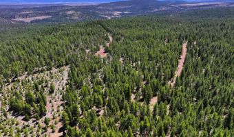 8193 Carlsberg Rd, Alturas, CA 96101