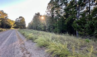 51 Shelton Rd, Bee Branch, AR 72013