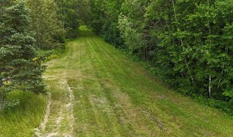 8800 Hwy 73, Angora, MN 55723