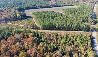 TBD Binnicker Bridge Road, Bamberg, SC 29003